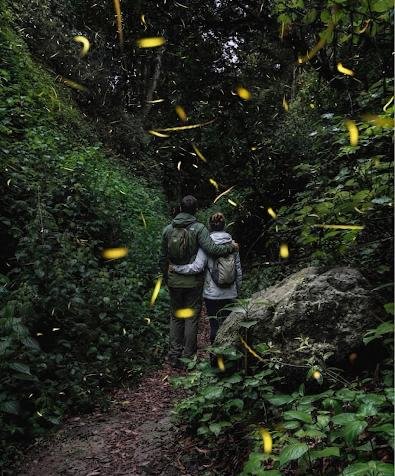 Escapada Luciérnagas en el santuario de Tlaxcala